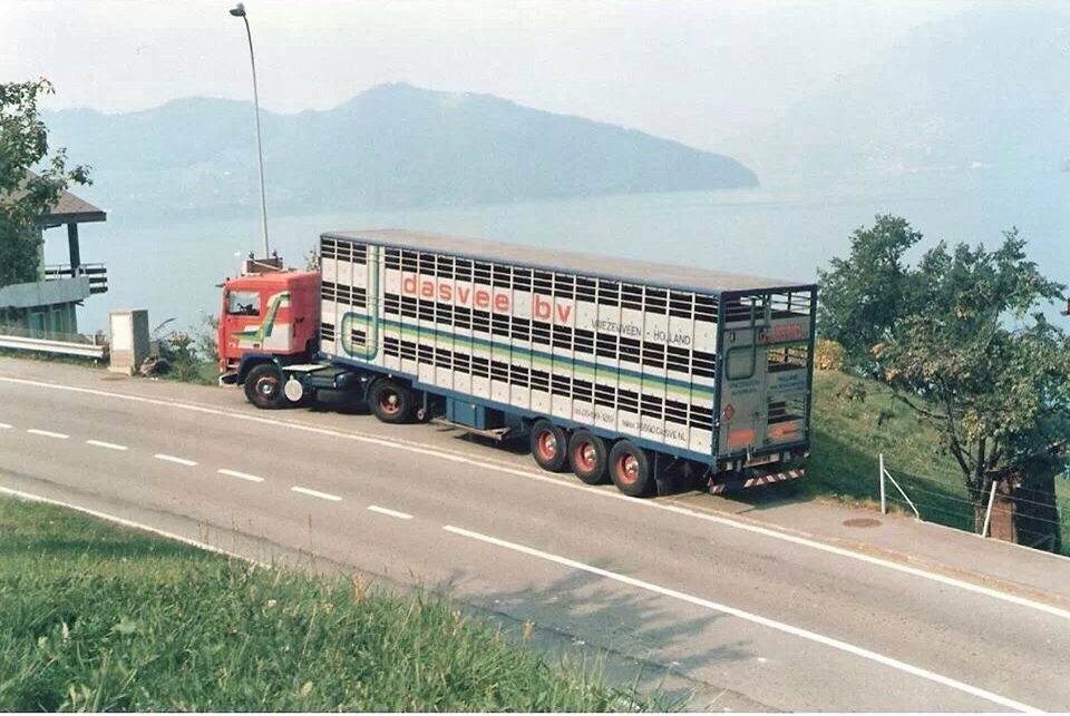 Dasvee_transport