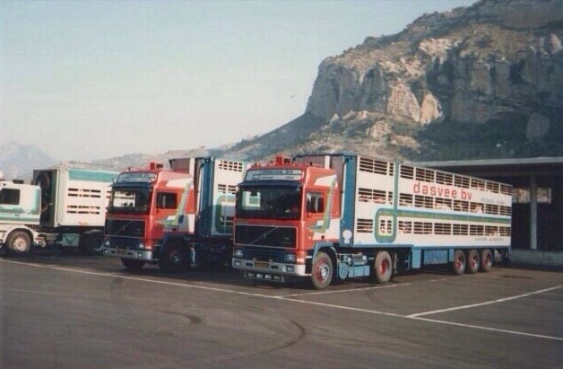Dasvee_transport_trucks